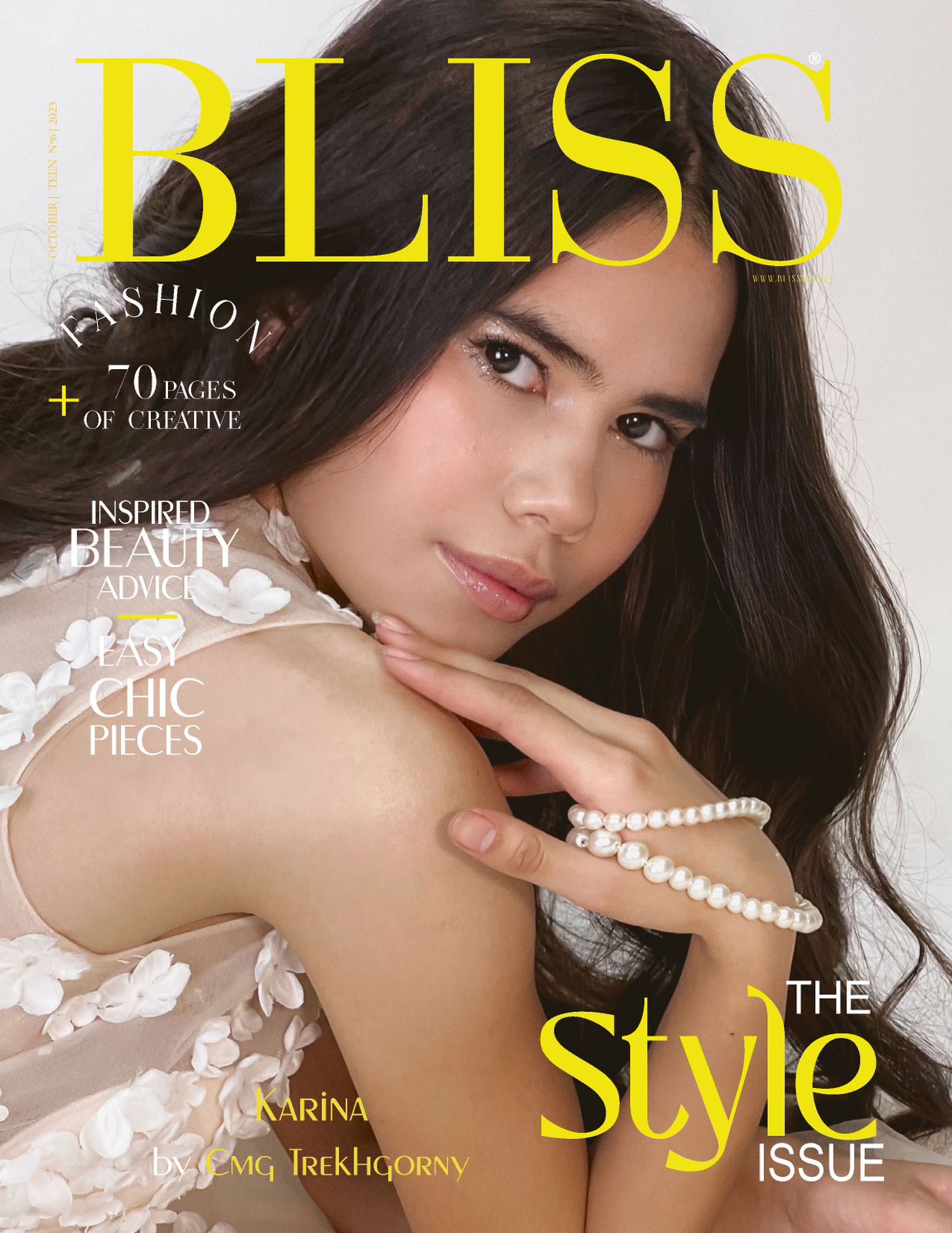 Публикация в международном журнале Bliss